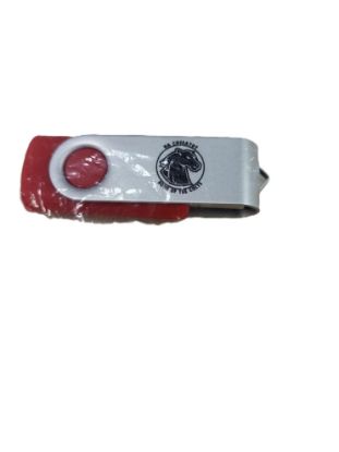 Picture of Swing USB Drive 
