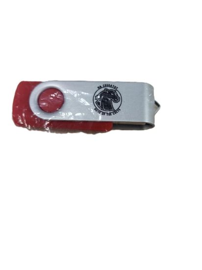 Picture of Swing USB Drive 
